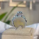 Solitaire Hoppoe