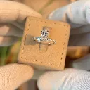 1ct Pear Lab