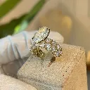 Argus Ring