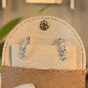 DT Earrings 1