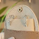 DT Earrings 1