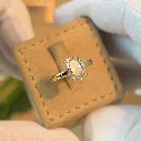 Sibia Ring