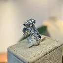 Paradisaea Set Ring