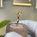 Acanthis Ring