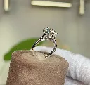 Drepanis Ring