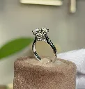 Drepanis Ring