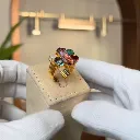 The Guildian Ring
