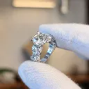The Egret Ring