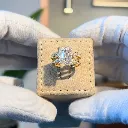 The Crowned Crane Ring