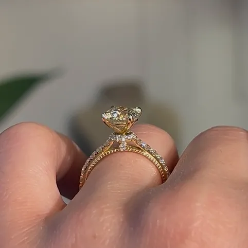 The Tern Ring