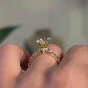 The Tern Ring