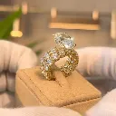 The Argus Ring