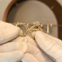 The Argus Ring