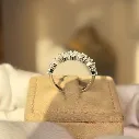 The Diamond Shine Wedding Band