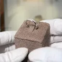 The Platinum Shine Wedding band