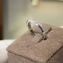The Platinum Shine Wedding band