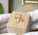 The Simple Elegance Band