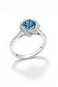 The Floral Blue Fusion