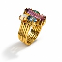 The Guildian Rings