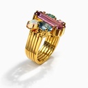 The Guildian Rings