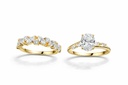 Albatros Ring Set