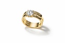 Rook Ring Set