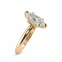 Trogon Ring