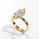 Trogon Ring