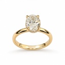 Sibia Ring