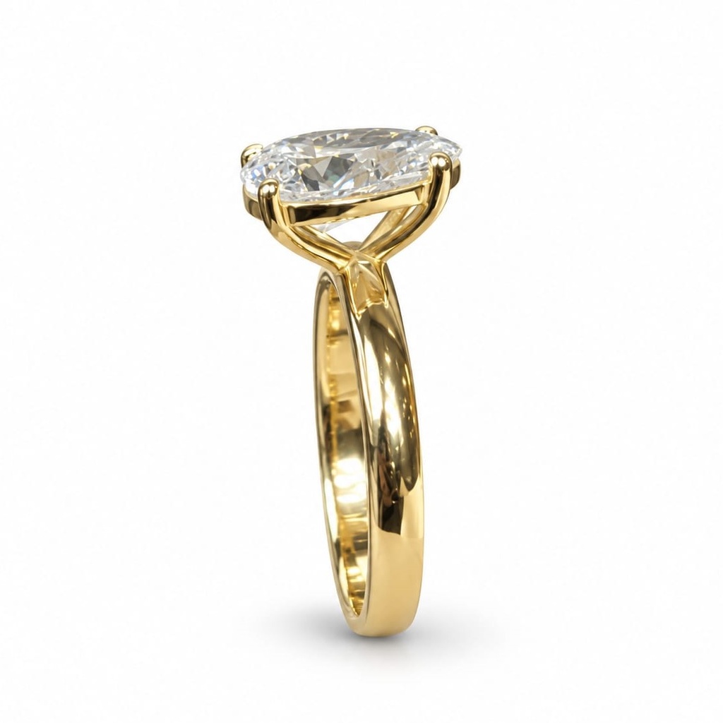 Ptiloris Ring