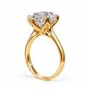 Violetear Ring