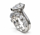 Paradisaea Set Ring