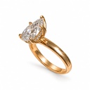 Acanthis Ring