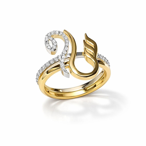 Lettering Rings س م